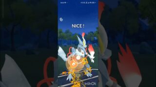 ポケモンGOバトルリーグ　マスターリーグ 1256