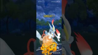 ポケモンGOバトルリーグ　マスターリーグ 1275
