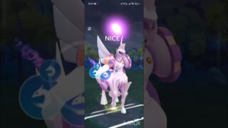ポケモンGOバトルリーグ　マスターリーグ 1302