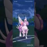 ポケモンGOバトルリーグ　マスターリーグ 1315