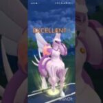 ポケモンGOバトルリーグ　マスターリーグ 1317