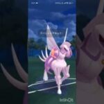ポケモンGOバトルリーグ　マスターリーグ 1342