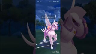 ポケモンGOバトルリーグ　マスターリーグ 1342