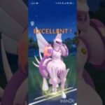 ポケモンGOバトルリーグ　マスターリーグ 1362