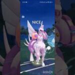 ポケモンGOバトルリーグ　マスターリーグ 1382