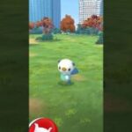 ポケモンGO ｜#140｜無課金｜ Pokémon GO