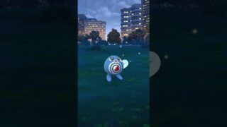 ポケモンGO ｜#141｜無課金｜ Pokémon GO