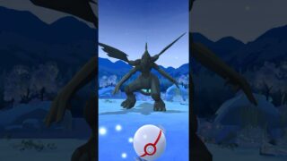 ポケモンGO ｜#144｜無課金｜ Pokémon GO