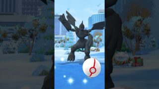 ポケモンGO ｜#145｜無課金｜ Pokémon GO