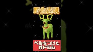 【ポケモンGO】タンドンは“ダイマックス枠”候補!? 今岩メガ進化してアメ全力回収するべき理由 #ウィンターイベントパート2 #shorts