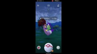 【ポケモンGO】サカキを倒して、トルネロスを捕まえました♪