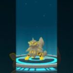 【色違い】ガーディ→ウインディ【ポケモンGO】