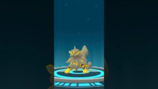 【色違い】ガーディ→ウインディ【ポケモンGO】