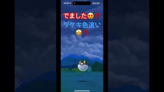 出ました😍‼️ダゲキ色違い🤩‼️ 柔道🥋一直線‼️ ポケモンGO