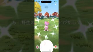 こんなんじゃダメだ色違いニューラゲットチャレンジ【ポケモンGO】