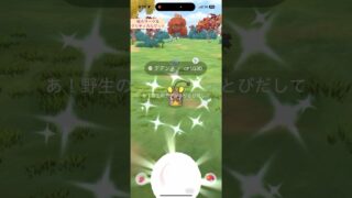 【難易度中】色違いデデンネ極小サークルクリティカルゲット【ポケモンGO】