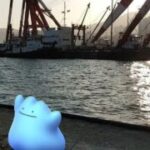 [GO Snapshot Slideshow] 메타몽 ( Ditto ) メタモン