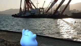 [GO Snapshot Slideshow] 메타몽 ( Ditto ) メタモン