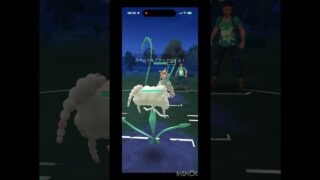 ポケモンGO ハイパーリーグ　#ポケモンgo