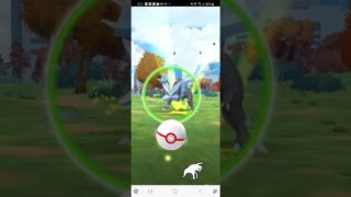 ポケモンGO バグ？  キュレム こごえるかぜ 限定技持ちの簡単捕獲 今だけ #ポケモンgo #レイドバトル   #pokemongo #ポケモン #ショート