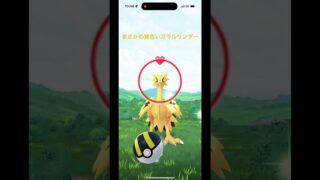 ポケモンGO ガラルサンダー色違 #pokemon #ポケモン