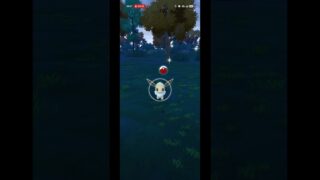 【ポケモンGO】12/13の色違い#ポケモンgo #ポケモン #pokemongo #pokemon #色違い #色違いポケモン #色違い厳選 #shorts