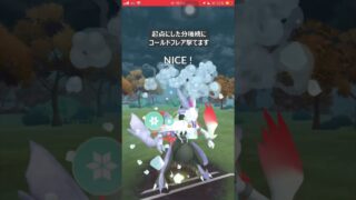 【ポケモンGO】個人通算16回目のレジェンド達成！【GBL】#shorts #ポケモンgo #gbl #ポケモン #マスターリーグ