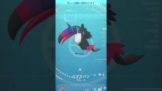 【ポケモンGO】色違いツツケラ➡︎ドデカバシ【コミュデイ2025年11月】#shorts