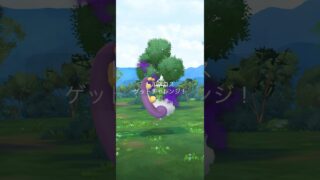 【ポケモンGO】vsサカキ(シャドウトルネロス) #ポケモン #ポケモンgo #サカキ #トルネロス #シャドウ #ロケット団 #pokemongo