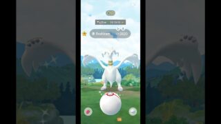 Got Shiny ✨Reshiram in Pokémon Go
