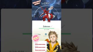 Hundo Exclusive Zekrom Caught #pokemon #pokemongo #shorts #catch