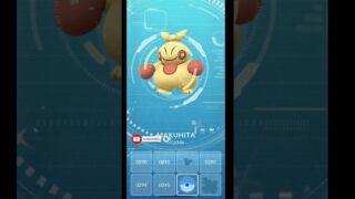 I Found a Wild Shiny Makuhita in Pokémon GO!✨ #shinypokemon #pokemongo #pokemon #shiny