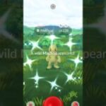 I found a Shiny Jaundice looking Machop in Pokémon Go! #pokemongo #youtubeshorts #shinypokemon