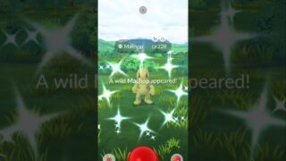 I found a Shiny Jaundice looking Machop in Pokémon Go! #pokemongo #youtubeshorts #shinypokemon