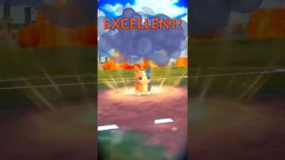 Intense Dark-Type Battle in Pokémon GO! #pokemongo