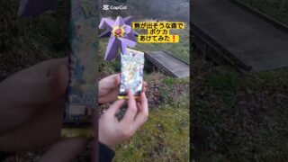 【ポケカ】熊が出そうな恐怖の森でポケモンカード最新弾MEGAドリームex開封ヤバすぎ #shorts