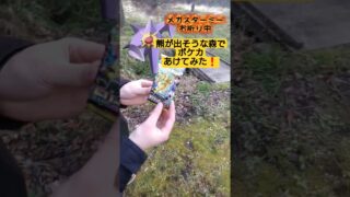 【ポケカ】熊が出そうなヤバい森でポケモンカード最新弾MEGAドリームex開封エグすぎ #shorts
