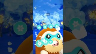 Mamoswine TAKES OVER Pokémon Go Holiday Cup 🔥! #shorts #pokemon #pvp