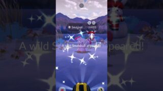 POKEMON GO SHINY SNUBBULL CATCH 🐶 Full Odds Wild Shiny Encounter!