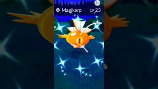 Rare Wild Shiny Magikarp Encounter | Pokémon GO #pokemongo