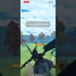 Shadow Tyranitar sweeps