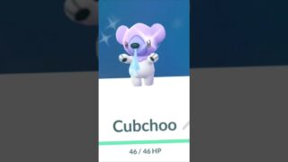 Shiny Cubchoo from a  LURE in Pokémon GO, while at the airport. #shinypokemon #pokemongo