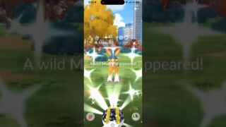 ✨Shiny Mudbray CAUGHT In Pokemon Go!✨ #shorts #pokemon