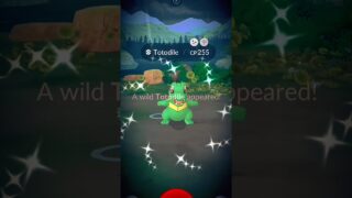 Wild Shiny Totodile to Feraligatr Evolution | Pokémon GO #pokemongo