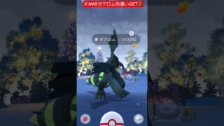 X’MASイブにゼクロム色違いがやって来ました！#ポケモンgo #pokemon