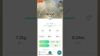 このイーブイが雌だったらニンフィアに進化させたのにな〜#ポケモン #ポケモンgo #色違い