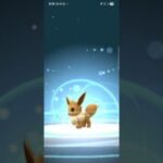 イーブイから,ニンフィアに進化する瞬間‼️ #ポケモンgo