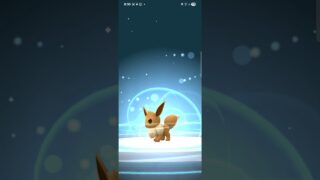 イーブイから,ニンフィアに進化する瞬間‼️ #ポケモンgo