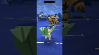 ホリデーカップ！ #ポケモンgo #ポケモンgoバトルリーグ #ポケモンgo対戦