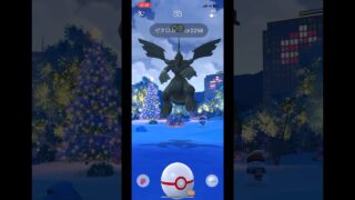 みんな久しぶり！ゼクロム捕獲してきたよ！#ポケモン #ポケモンgo #pokemongo #pokemon #ぎゅうたんです #ゲーム実況 #shorts#伝説#捕獲#久しぶり#初心者